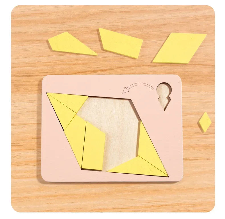 Wooden Geometric Puzzles Challenge