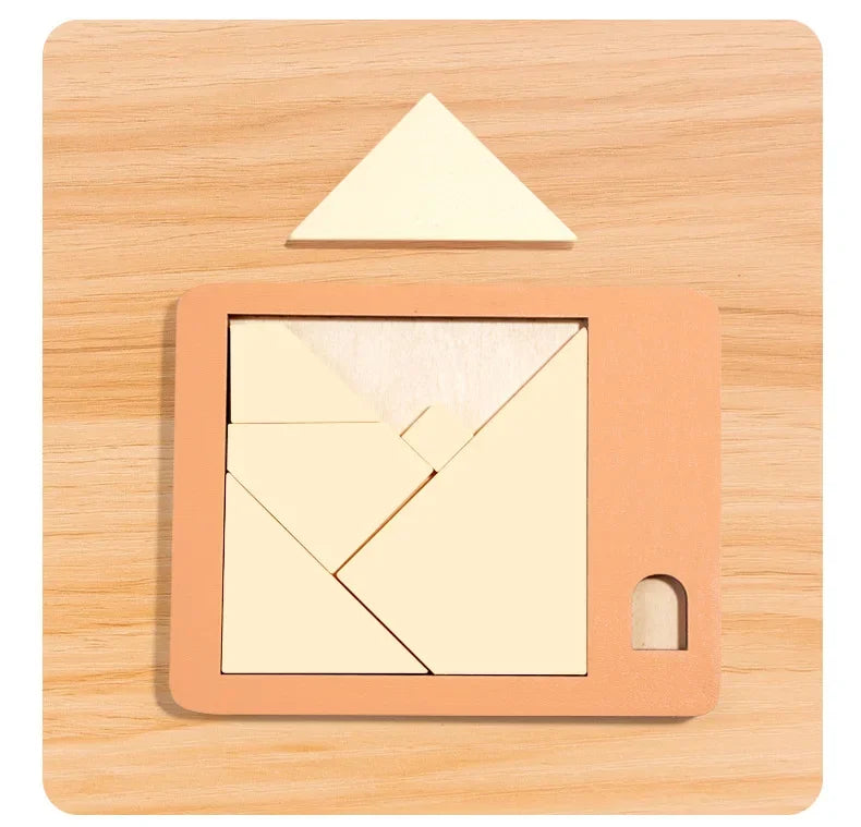 Wooden Geometric Puzzles Challenge