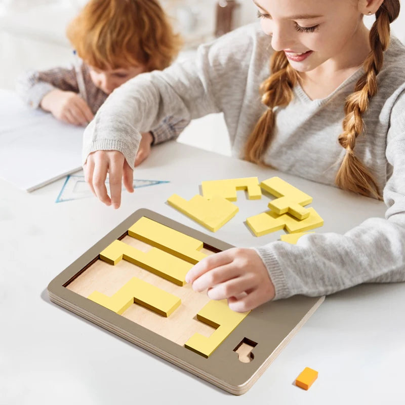 Wooden Geometric Puzzles Challenge