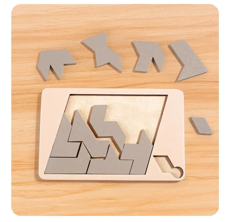 Wooden Geometric Puzzles Challenge