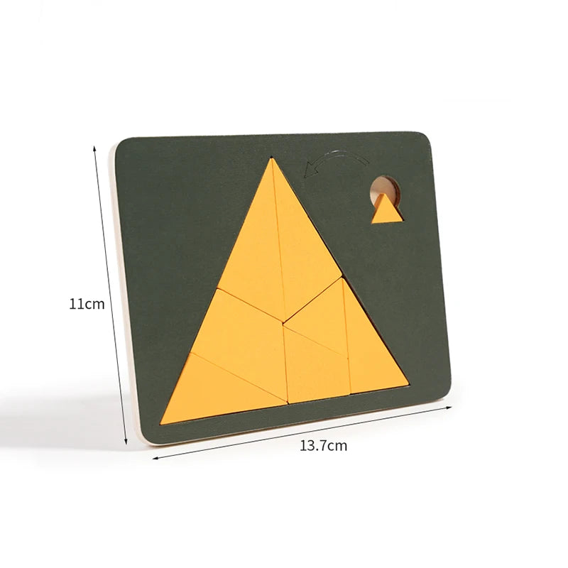 Wooden Geometric Puzzles Challenge